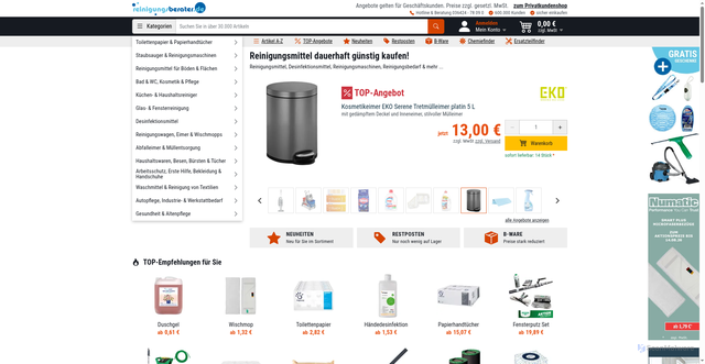 Security scan screenshot of https://reinigungsberater.de