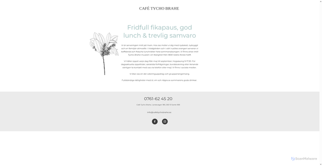Security scan screenshot of https://cafetychobrahe.se