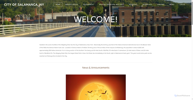 Security scan screenshot of https://www.salamancany.gov/