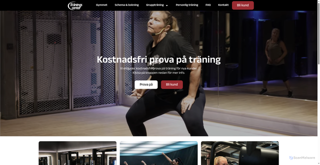 Security scan screenshot of https://visbytraningscenter.se
