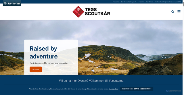 Security scan screenshot of https://tegsscoutkar.se