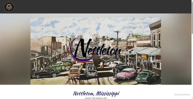 Security scan screenshot of https://nettletonms.gov/