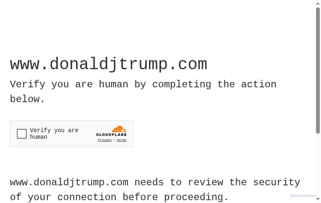Security scan screenshot of https://www.donaldjtrump.com/