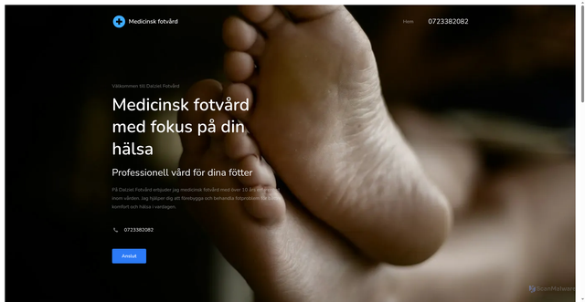 Security scan screenshot of https://dalzielfotvard.se