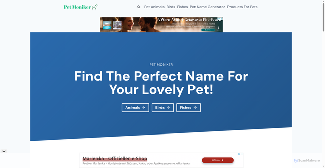 Security scan screenshot of https://petmoniker.com