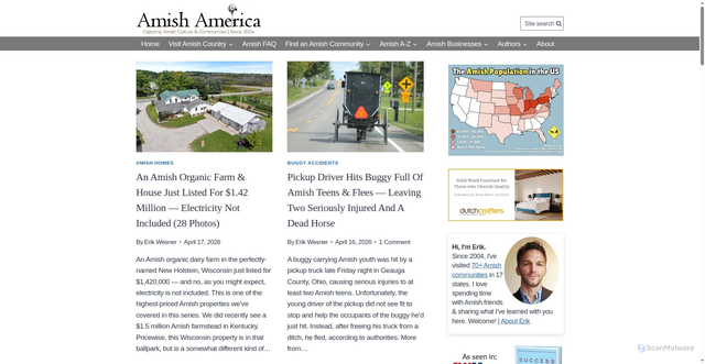 Security scan screenshot of https://amishamerica.com