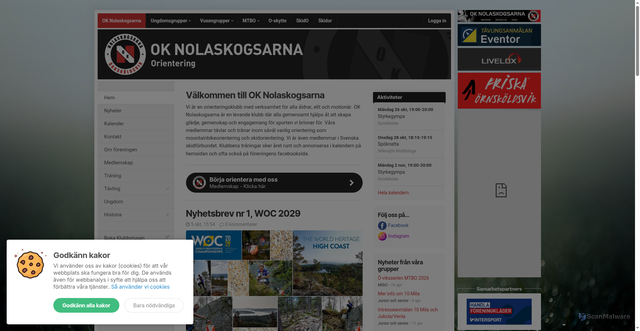 Security scan screenshot of https://oknolaskogsarna.se