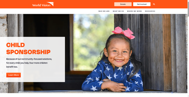 Security scan screenshot of https://www.wvi.org/