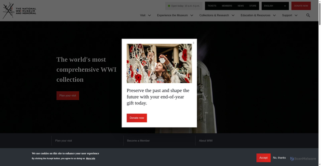 Security scan screenshot of https://www.theworldwar.org/