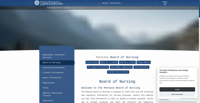 Security scan screenshot of https://boards.bsd.dli.mt.gov/nursing/