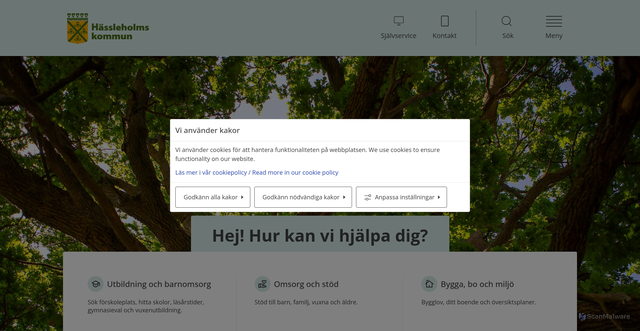 Security scan screenshot of http://www.hassleholm.se