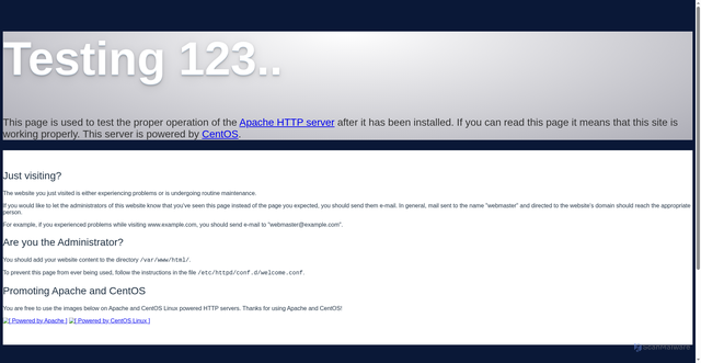Security scan screenshot of https://f1.ds-russia.ru