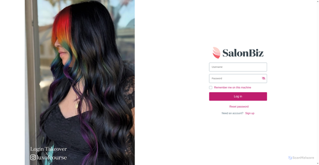Security scan screenshot of https://central.salonbiz.com