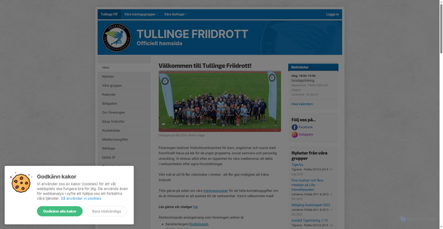 Security scan screenshot of https://tullingefriidrott.se