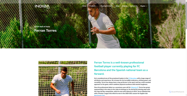 Security scan screenshot of https://indibasia.com/activ/hall-of-fame/ferran-torres
