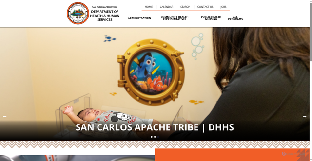 Security scan screenshot of https://scatdhhs.gov/