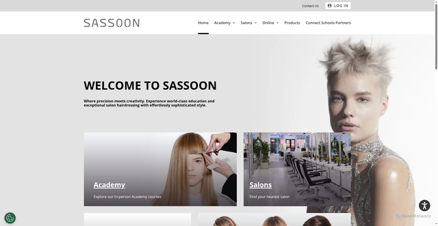 Security scan screenshot of https://sassoon-global.com