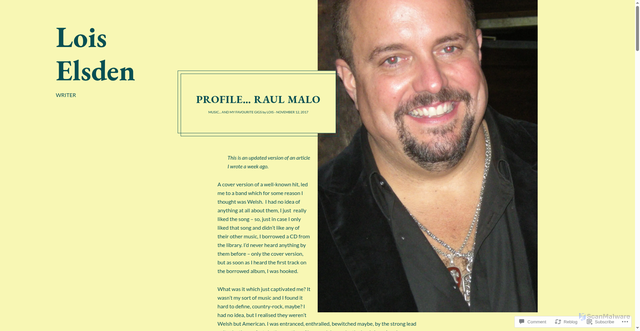 Security scan screenshot of https://loiselsden.com/2017/11/12/profile-raul-malo/