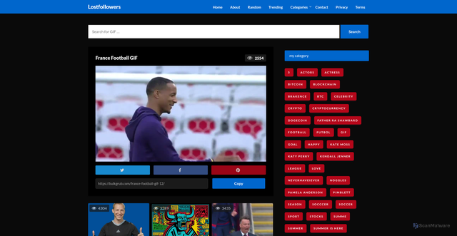 Security scan screenshot of https://bulkgrub.com/france-football-gif-12/