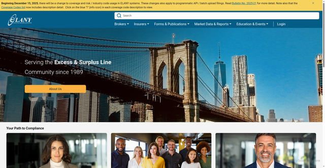 Security scan screenshot of https://elany.org