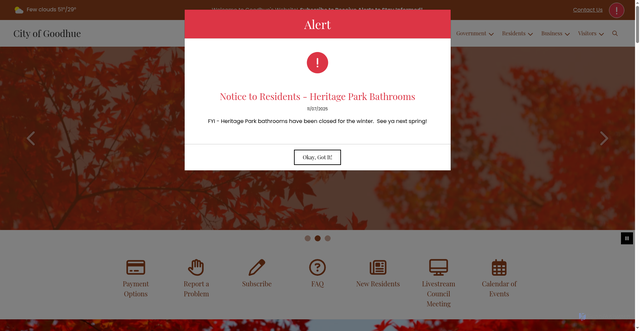 Security scan screenshot of https://cityofgoodhue.gov/