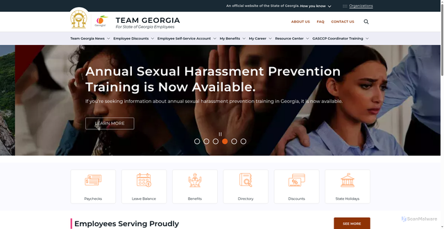 Security scan screenshot of https://team.georgia.gov/