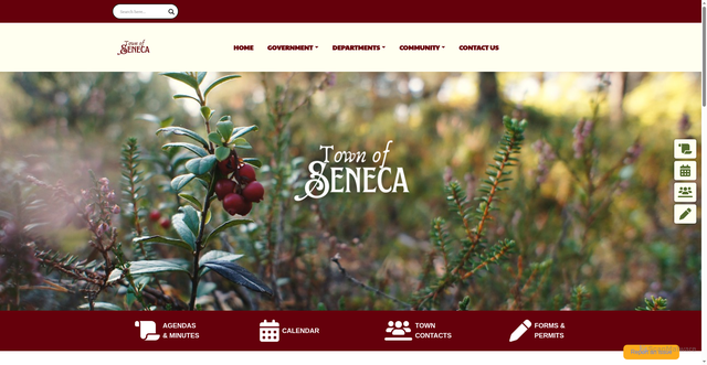 Security scan screenshot of https://townofsenecawoodcowi.gov/