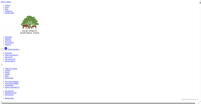 Security scan screenshot of https://newforestnpa.gov.uk/