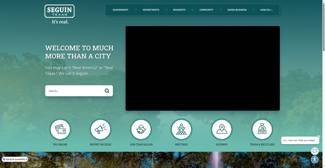 Security scan screenshot of https://seguintexas.gov/