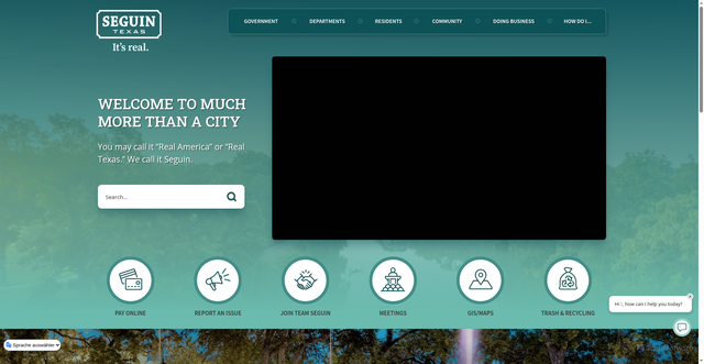 Security scan screenshot of https://seguintexas.gov/
