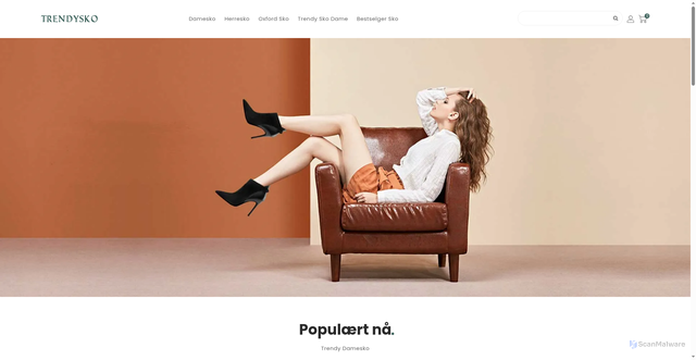 Security scan screenshot of https://trendysko.com