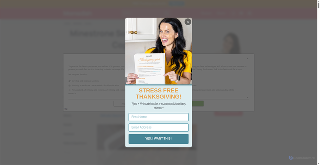 Security scan screenshot of https://momsdish.com/minestrone-soup-olive-garden-copycat