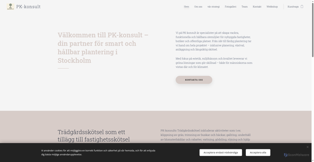 Security scan screenshot of https://pkkonsult.se