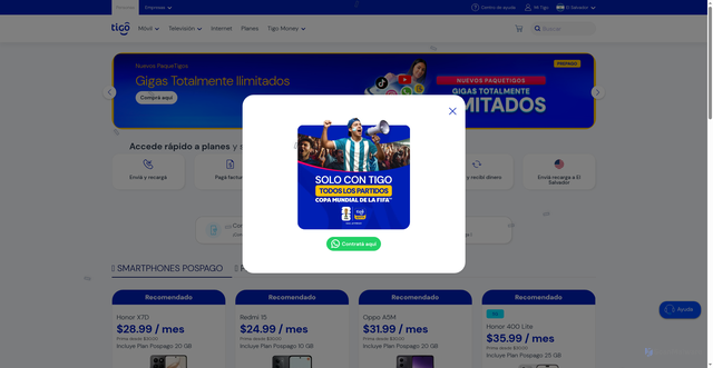 Security scan screenshot of http://tigoboss.help/
