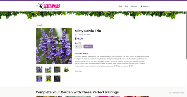 Security scan screenshot of https://generationsperforming.sowzer.com/shop_/t23049/t33186-misty-salvia-trio