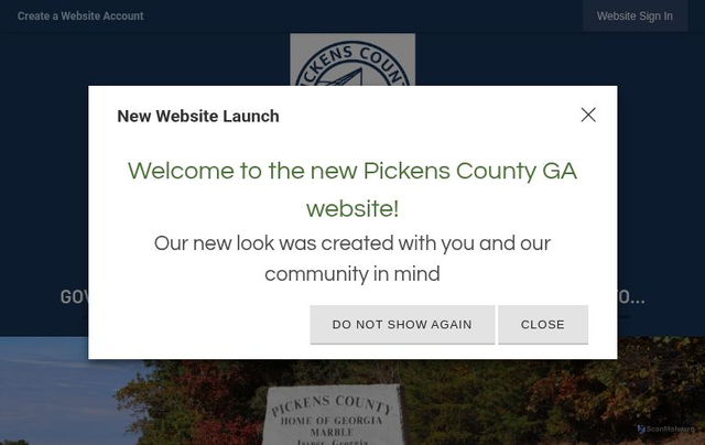 Security scan screenshot of https://www.pickenscountyga.gov/