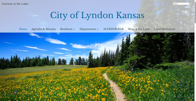 Security scan screenshot of https://www.lyndonks.gov/