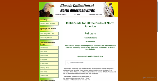 Security scan screenshot of https://www.birds-of-north-america.net/pelicans.html