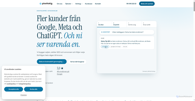 Security scan screenshot of https://pixeltokig.se