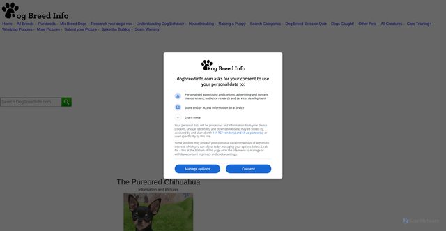 Security scan screenshot of https://www.dogbreedinfo.com/chihuahua.htm