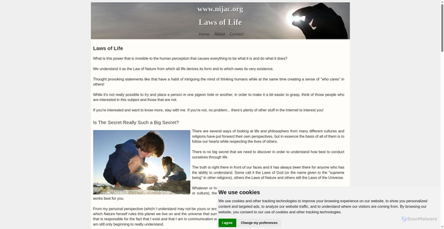 Security scan screenshot of http://www.nijac.org/