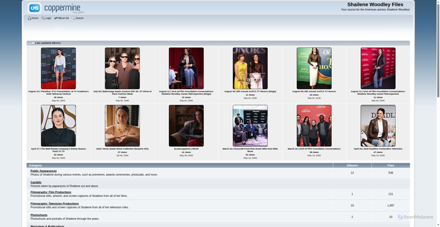 Security scan screenshot of https://shailene-woodley.net/