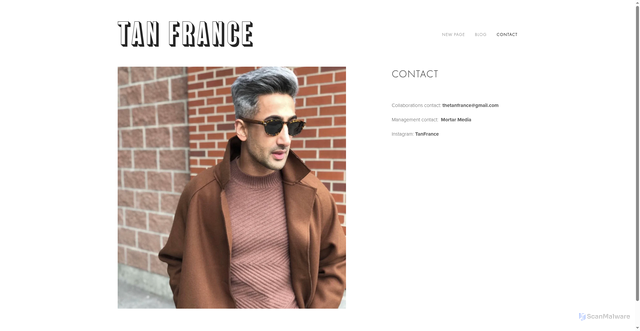 Security scan screenshot of https://tanfrance.com/about