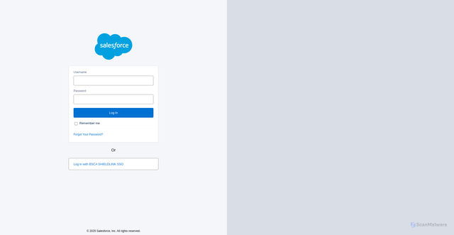 Security scan screenshot of https://blueshieldca.file.force.com