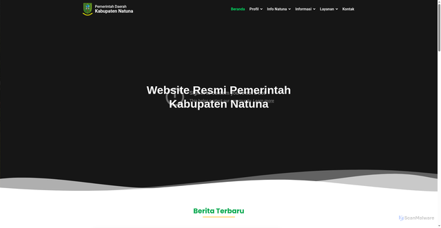 Security scan screenshot of https://natunakab.go.id