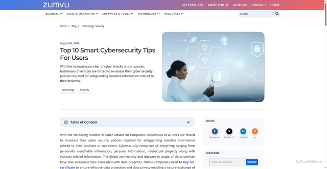 Security scan screenshot of https://blog.zumvu.com/cybersecurity-tips/