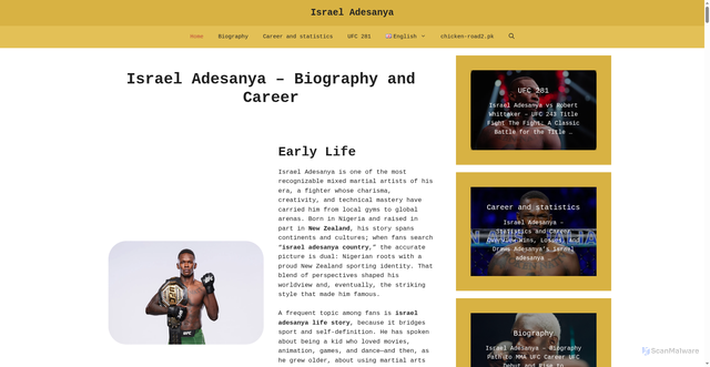 Security scan screenshot of https://israel-adesanya.com/