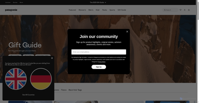 Security scan screenshot of https://eu.patagonia.com/