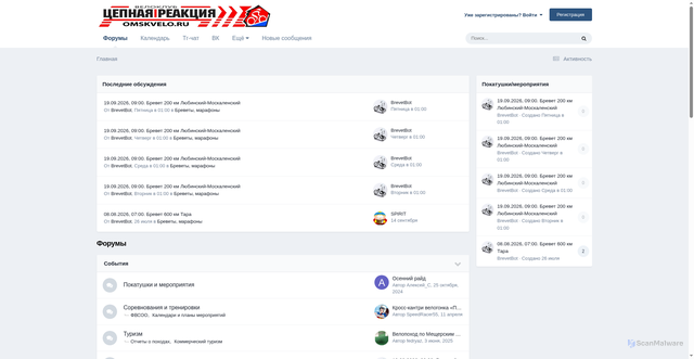 Security scan screenshot of https://omskvelo.ru