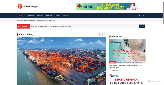 Security scan screenshot of https://tinhaiphong.vn